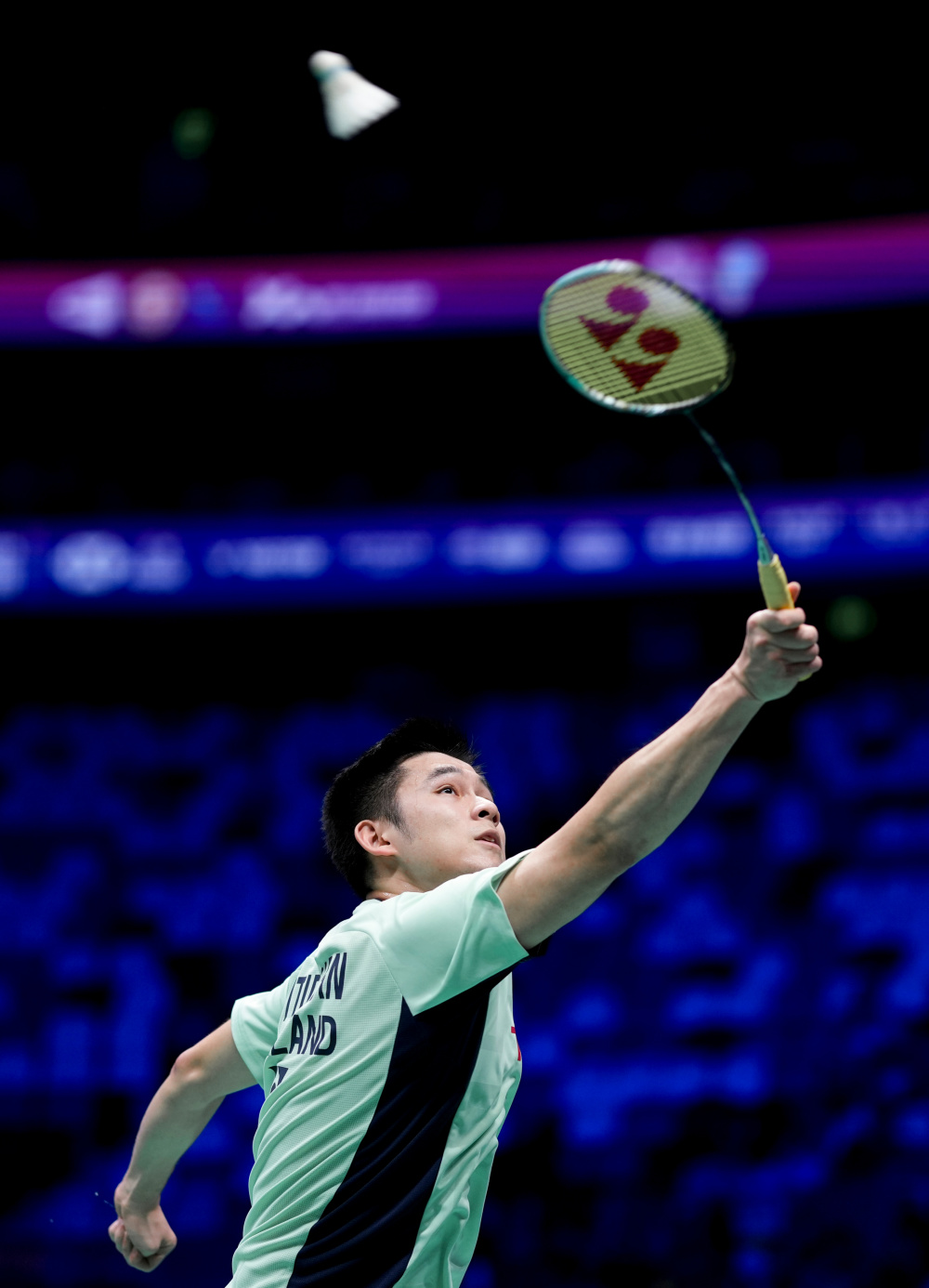 这种优质的 这种优质的